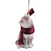 White and Grey Striped Cat with a Scarf Christmas Ornament,