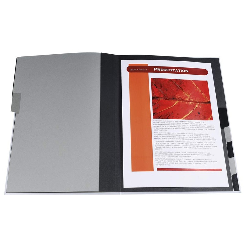 Exacompta Harmonika 12 Compartment Folder with Dividers - Assorted