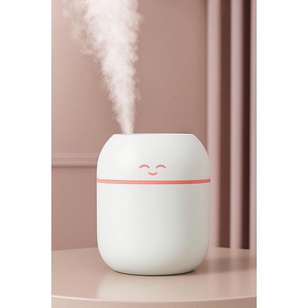Mini Facial Steamer & Ultrasonic Air Humidifier – Portable, USB