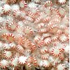 Starlights - Peppermint Starlight Mints 1 Pound (16 OZ)