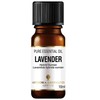 Amphora Aromatics Lavender Hyb. Sumian Essential Oil 10mls