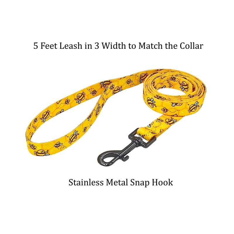 Ovale Dog Collar Leash Combo Set, Adjustable Collar and 5