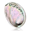 BRBASAP Large Abalone Shell Bowl 4.3-4.7 Inch Fire Safe Sage
