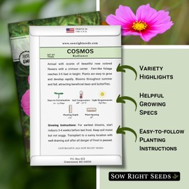 Sow Right Seeds - Radiance Cosmos Flower Seed for Planting - Non-GMO Heirloom Packet with Instructions to Grow - Sweet Purple Blooms for Your Yard - Cut and Come Again - Attract Pollinators (1)