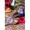 Purple Blue Linen Flax Flower 2000+ Seeds | Blue/Purple Linseed