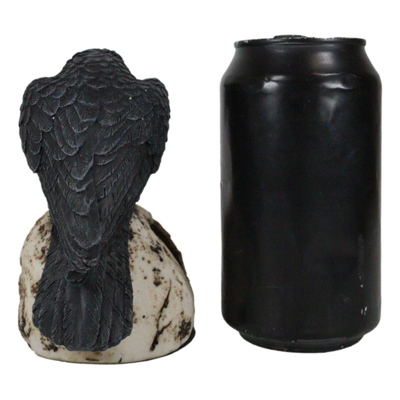 Foreboding Dark Crow Raven On Skull Statue 5"Tall Ossuary Scavenger