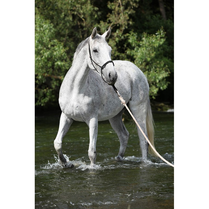 Hunters Saddlery Natural Horsemanship Rope Halter Headcollar Compatible with Parelli