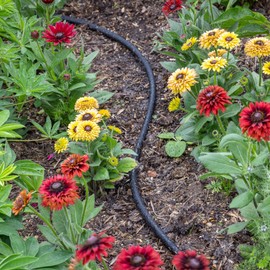 STYDDI Soaker Hose, 1/2" x 75 FT Round Rubber Garden Soaker Hose, Heavy Duty Water Seeper Soaker Hoses for Foundation Watering, Garden Beds, Garden, Lawn and Plants