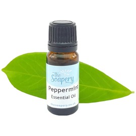 ätherisches Pfefferminzöl 10 ml – 100% rein und natürlich