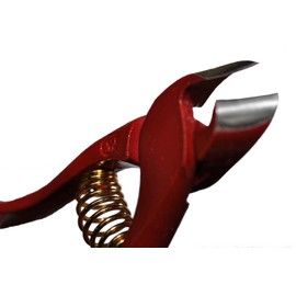  Furusawa Seisakusho Nippers, inner Cippers, inner beautiers, ya, vermy sound