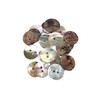 BOTIBOTON - Mother of Pearl Buttons Made of Shell Buttons
