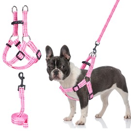 BEAUTYZOO No Pull Small Dog Harness and Leash Set, No Chock Puppy Step in Vest Harness Nylon Lightweight Neck&Chest Adjustable for Dogs Girls and Boy, Pet Harness for Small Medium Dogs