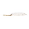 Feather Pen Set with 10 Interchangeable Nib Fire Lacquer Wax