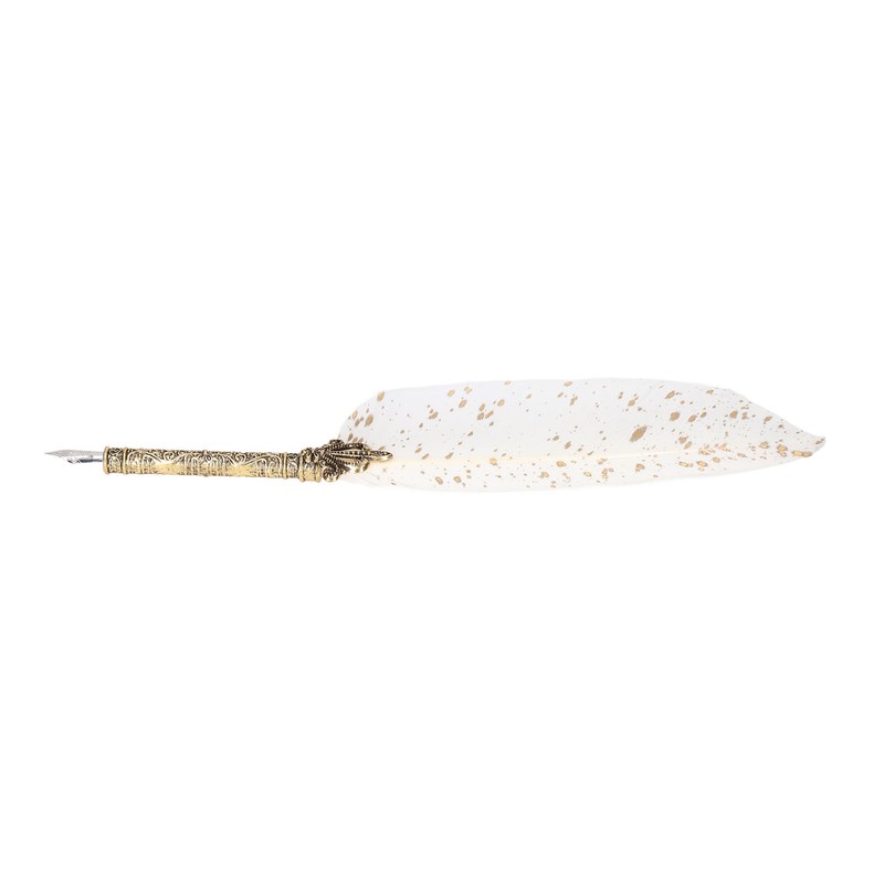 Feather Pen Set with 10 Interchangeable Nib Fire Lacquer Wax