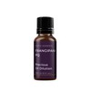 Mystic Moments | Frangipani PQ Absolute Precious Oil Dilution 10ml