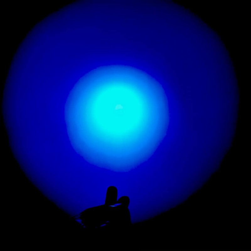 WONDSUNSON 2 x Blue Light Penlight Pen Type Flashlight One