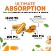 Turmeric Curcumin Supplement 1950mg with Organic Turmeric & Ginger, 95%