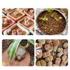 Rurtsva Akadama Bonsai Soil 2lbs Horticultural Potting Soil Amendment Cacti