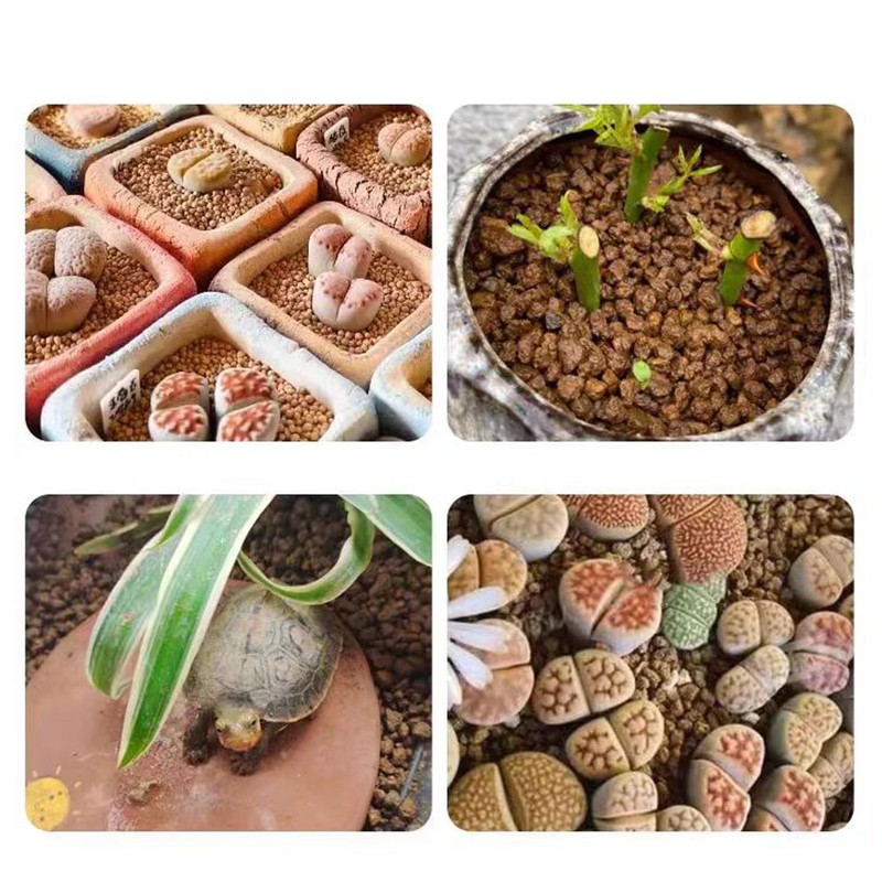 Rurtsva Akadama Bonsai Soil 2lbs Horticultural Potting Soil Amendment Cacti