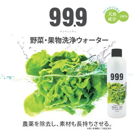 99.9 Vegetable Fruit Wash 250ml