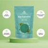 Daimel | Alga Espirulina Pura En Polvo 1kg Superfood Orgánica