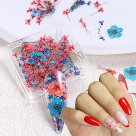 Dried Flowers Nails, Spring Nail Art Stickers Colorful 3D Dry Flower for Nails Kit - Mini Mix Flower Petals Manicure Decals Natural Dried Floral Nail Design Summer Tip DIY Crafts for Women