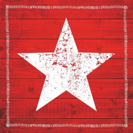 Paperproducts Design star Fashion Fire Beverage Napkins, 5 x 5", Red