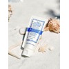 The Pure Lotus Jeju Botanical Hydro Boost Sunscreen 50ml / 제주 보태니컬 하이드로부스트 선스크린 50ml