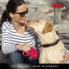 Flexi New Classic Tape Blue Small 5m Retractable Dog Leash/Lead