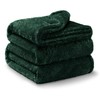 Exclusivo Mezcla Plush Fuzzy Fleece Bed Blanket Queen Size, Super