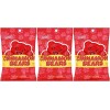 Sweet's Cinnamon Bears Pack of 3 Gluten Free Kosher Gummy Candy 7 Ounce
