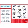 Mini Art 38036 1:35 Figures Pigeons (36) Faithful Replica Model