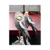 KVP Bird E-Collar, 4.75-5.5"/10"
