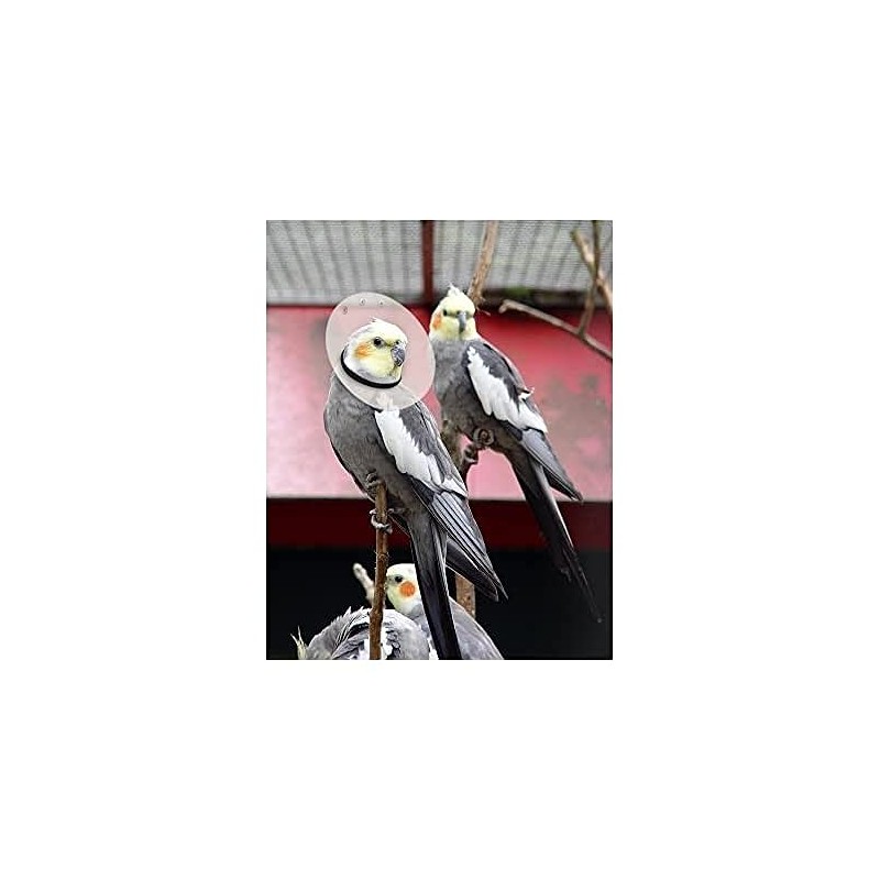 KVP Bird E-Collar, 4.75-5.5"/10"