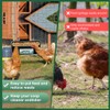Fence Feeder Chicken Hanging Feed Trough Poultry Waterer Bucket Feeding