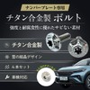 RENPA Titanium Alloy License Plate Bolt Snowflake Design Vehicle Inspection