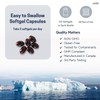 Herba Krill Oil Capsules - 120 Softgels | 1000mg of
