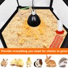 Chicks Brooder Box for Chicken Starter Kit- Includes Timing Heat