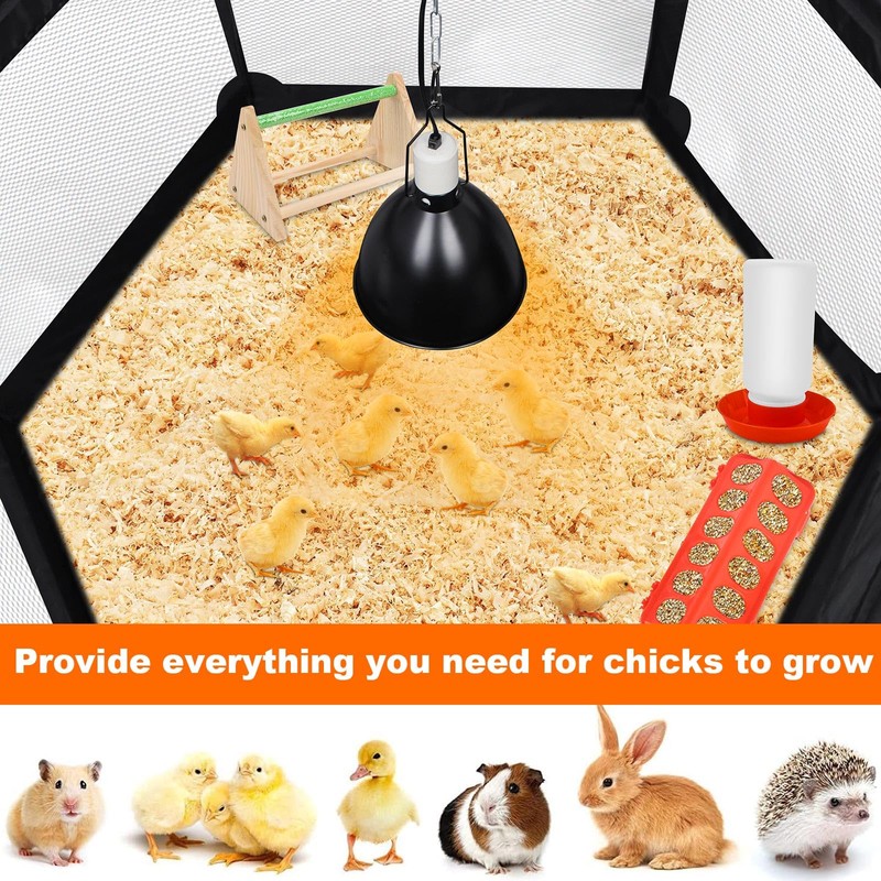Chicks Brooder Box for Chicken Starter Kit- Includes Timing Heat