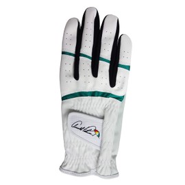 Arnold Palmer Golf Gloves APG Golf Gloves APG-116 Mens White X Green Large