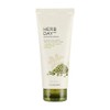 The Face Shop Herb Day 365 Master Blending Cleansing Foam