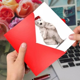 The Best Card Company  12 Tarjetas De Navidad En Caja Con So