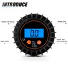 MEANLIN MEASURE 0-300psi Pressure Gauge with 1/8'' NPT Back Connector