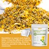 Dandelion Leaf & Root Tea Bags with 50 Count -