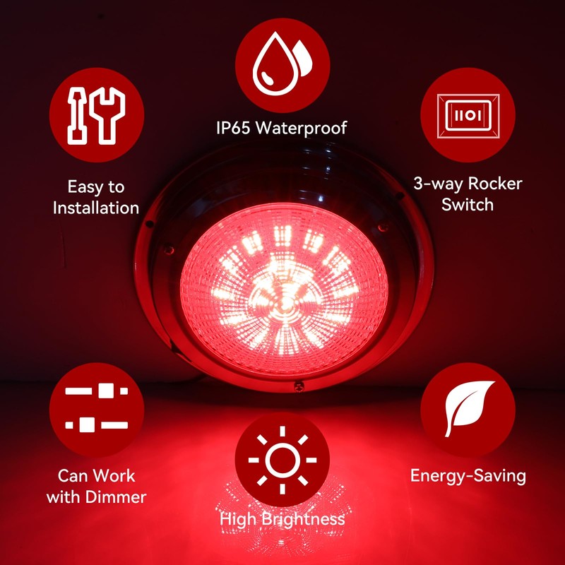 5.5 Inch 12V Dual-Color LED Boat Dome Light with Toggle