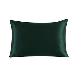 townssilk Both Side 100% 19mm Silk Pillowcase Queen Size Pillow Case Cover with Hidden Zipper Emerald