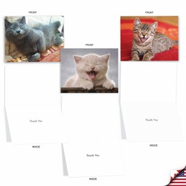 The Best Card Company 10 Assorted Thank You Notes Bulk Box Set 4 x 5.12 Inch with Envelopes (10 Designs, 1 Each) Smitten Kittens M6485TYG