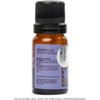 Aceite Esencial de Lavanda 100% Puro 10 ml Aroma Floral