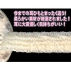 JCE 30 Masks Individually Packaged. Ear strings are made of