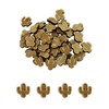 FashionJunkie4Life Wooden Cactus Confetti | 0.625” x 0.75” 100 Pieces